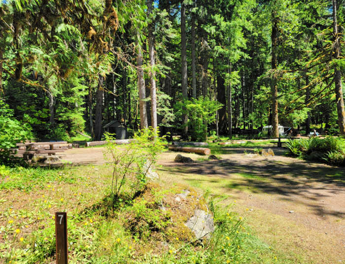Campsites at Staircase Campground