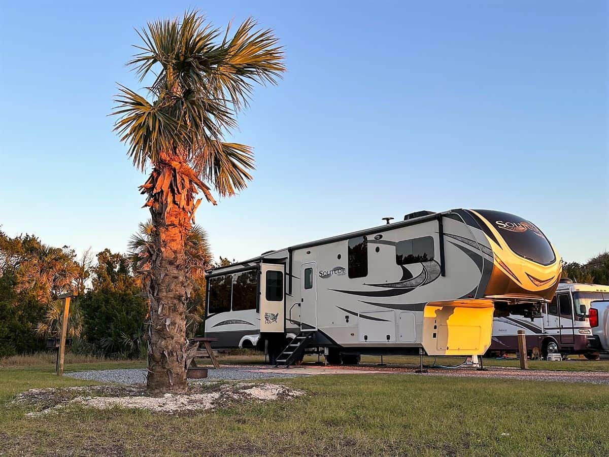 RV camper with palm tree