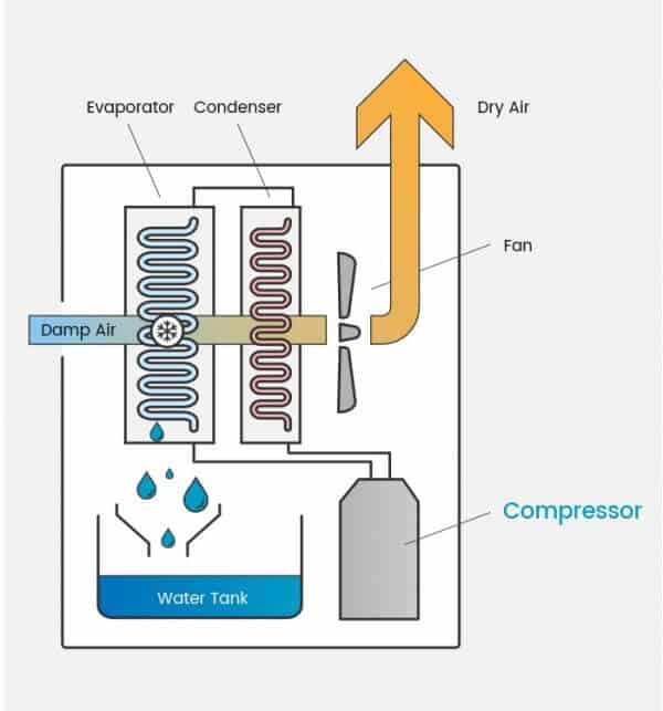 Diagram of a refrigerant dehumidifier showing damp air being pulled across an evaporator to cause the moisture to condense on the evaporator coils before passing through the condenser coils to be reheated. The resulting warm dry air is blown out out the machine.