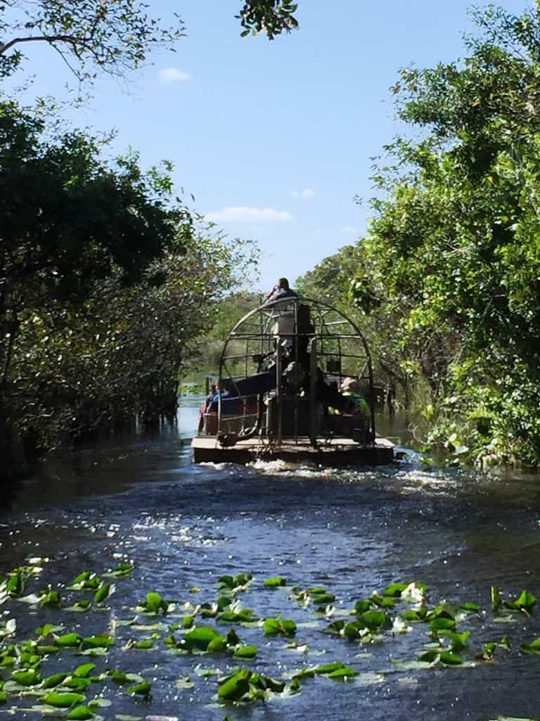 air boat sailing trough a section of the Everglades