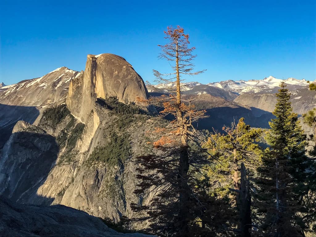 Half Dome In Yosemite National Park.