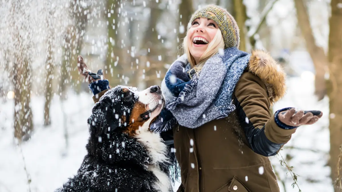 woman and dog playing in snow together