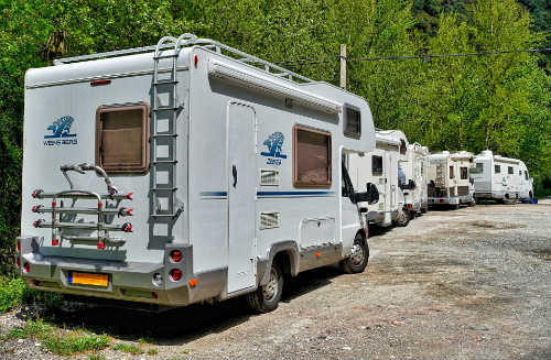 Campers parked near forest