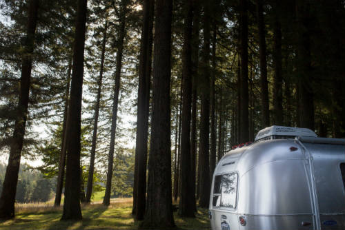 Gray metal trailer beside green trees during daytime