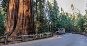 RV next to a Giant redwood tree in California.