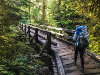Best Hikes In The Olympic National Park & Nearby Camping